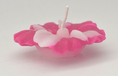 64% OFF on BMS Lifestyle Mukuua Candle 64% OFF on BMS Lifestyle Mukuua Candle