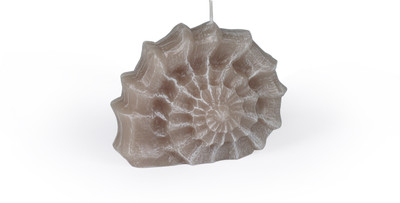 Manulena Nautilus Shell stone 250g Candle Manulena Nautilus Shell stone 250g Candle