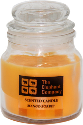 65% OFF on The Elephant Company Mango Sorbet Yankee Jar Candle 65% OFF on The Elephant Company Mango Sorbet Yankee Jar Candle