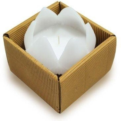 23% OFF on Gifts By Meeta Decorative Lotus Candle