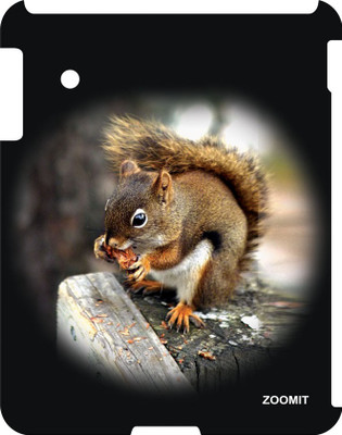 34% OFF on Zoomit Back Cover for Apple IPad3 / 4