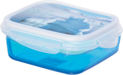 Rotho Princeware Art Ice Box - 1250 ml Plastic Food Container Blue Rotho Princeware Art Ice Box - 1250 ml Plastic Food Container Blue