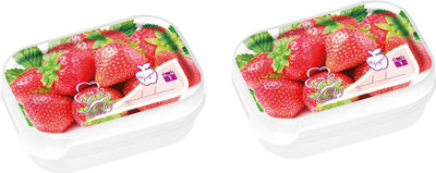 Juypal Hogar IML Easy Open - 250 ml Polypropylene Food Container Pack of 2, Multicolor