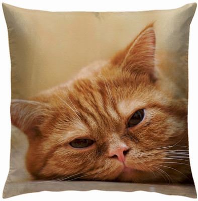 Right Graphic Cushions Cover