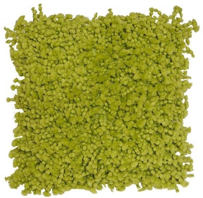 33% OFF on Avira Home Solid Cushions Cover 33% OFF on Avira Home Solid Cushions Cover