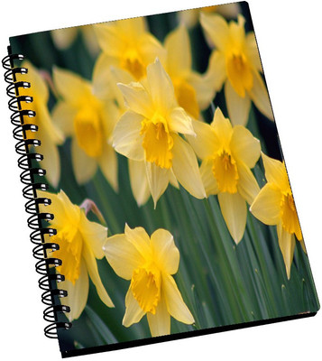 Amy Beautiful Buttercup Flower A5 Notebook Spiral Bound Amy Beautiful Buttercup Flower A5 Notebook Spiral Bound