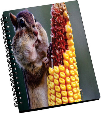 69% OFF on AMY Chipmunk Eating Corn A5 Notebook Spiral Bound