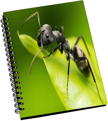 74% OFF on AMY 3D Black Ant on the Leaf A5 Notebook Spiral Bound 74% OFF on AMY 3D Black Ant on the Leaf A5 Notebook Spiral Bound