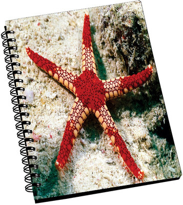 74% OFF on AMY 3D Red Starfish in The Sea A5 Notebook Spiral Bound 74% OFF on AMY 3D Red Starfish in The Sea A5 Notebook Spiral Bound