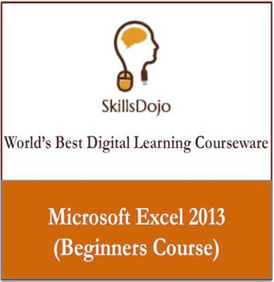 SkillsDojo Microsoft Excel 2013 (Beginners Course) Online Course SkillsDojo Microsoft Excel 2013 (Beginners Course) Online Course