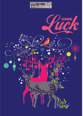 Printland Exam Board Blue Starred Examination Pads