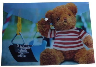 12% OFF on Vardhman My Clear Polypropylene A4 Bag