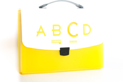 Chrome Files & Folders Plastic Expanding File Chrome Files & Folders Plastic Expanding File