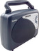 Philips IN-DL 167/IN FM Radio