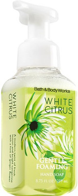 22% OFF on Bath & Body Works White Citrus Gentle Foaming Hand Soap 22% OFF on Bath & Body Works White Citrus Gentle Foaming Hand Soap
