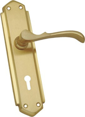 HomeProducts4u Gold Plated Door Pull