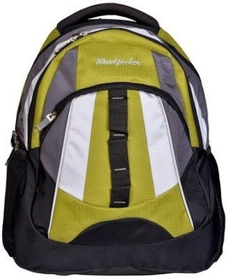 25% OFF on Woodpecker 15 inch Laptop Backpack Green 25% OFF on Woodpecker 15 inch Laptop Backpack Green