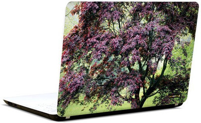 Pics And You Bloom And Blossom 6 3M/Avery Vinyl Laptop Decal (Laptops And MacBooks)