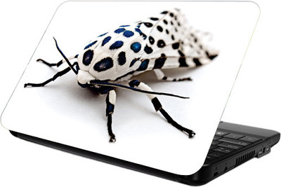 65% OFF on Printland Spider Vinyl Laptop Decal