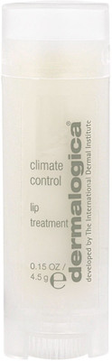 Dermalogica Climate Control Lip Treatment Dermalogica Climate Control Lip Treatment