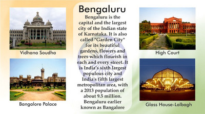 Everyday Gifts Indian Souvenir Fridge Magnet