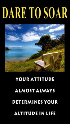 Everyday Gifts Success Fridge Magnet