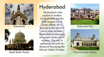 Everyday Gifts Indian Souvenir Fridge Magnet