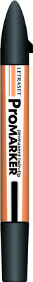 Letraset ProMarker Mandarin