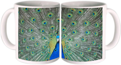25% OFF on Shopkeeda Awesome Peacock Feathers Ceramic Mug 350 ml