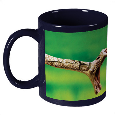 68% OFF on Amy Dangerous Animal Ceramic Mug 330 ml 68% OFF on Amy Dangerous Animal Ceramic Mug 330 ml