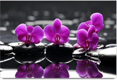 75% OFF on 3d Flawers 2 Paper Print 75% OFF on 3d Flawers 2 Paper Print