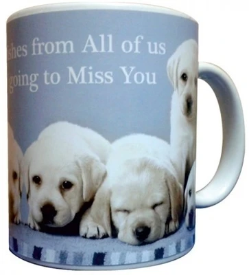 23% OFF on Everyday Gifts Pet Gift for Miss You Ceramic Mug 400 ml