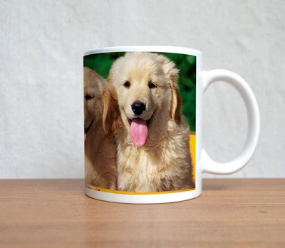 60% OFF on StyBuzz Three Puppies Happy Ceramic Mug 300 ml 60% OFF on StyBuzz Three Puppies Happy Ceramic Mug 300 ml