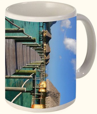 60% OFF on Timpax Most Popular & Best Selling Printed Ceramic 325 ML Dishwasher safe. D.No. R-2643 Ceramic Mug 325 ml