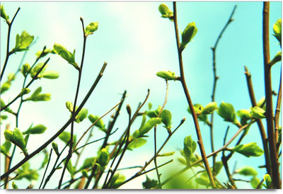 75% OFF on Dreen Flawers Paper Print 75% OFF on Dreen Flawers Paper Print