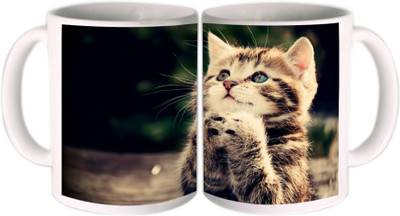 25% OFF on Shopkeeda Cool Cat Ceramic Mug 350 ml 25% OFF on Shopkeeda Cool Cat Ceramic Mug 350 ml
