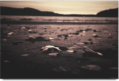 34% OFF on Night Way Paper Print