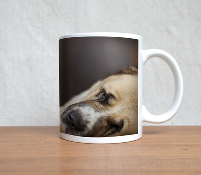 60% OFF on StyBuzz Dog With Cute Baby Porcelain Mug 300 ml 60% OFF on StyBuzz Dog With Cute Baby Porcelain Mug 300 ml