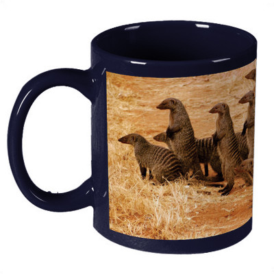 68% OFF on Amy Meerkat Dark Blue Ceramic Mug 330 ml 68% OFF on Amy Meerkat Dark Blue Ceramic Mug 330 ml