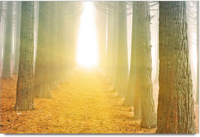 34% OFF on Tree Sun Kandle Paper Print