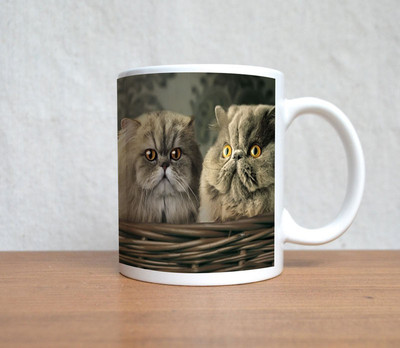 33% OFF on StyBuzz Angry Cats And Owl Porcelain Mug 300 ml 33% OFF on StyBuzz Angry Cats And Owl Porcelain Mug 300 ml