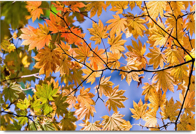 34% OFF on Colorful Art Paper Print 34% OFF on Colorful Art Paper Print