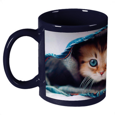 56% OFF on Amy Cute Cat With Blue Eyes Ceramic Mug 330 ml 56% OFF on Amy Cute Cat With Blue Eyes Ceramic Mug 330 ml
