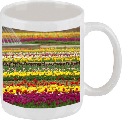 28% OFF on Ellicon D30 Kashmiri Tulip Garden Ceramic Mug 325 ml 28% OFF on Ellicon D30 Kashmiri Tulip Garden Ceramic Mug 325 ml