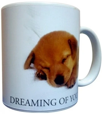 10% OFF on Everyday Gifts Pet Gift for Dreaming for You Ceramic Mug 400 ml