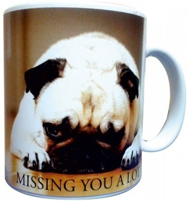 10% OFF on Everyday Gifts Pet Gift for Missing You Ceramic Mug 400 ml 10% OFF on Everyday Gifts Pet Gift for Missing You Ceramic Mug 400 ml