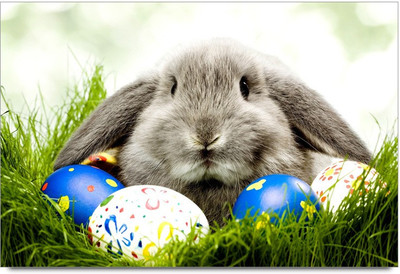 75% OFF on Rabbit Play Paper Print 75% OFF on Rabbit Play Paper Print