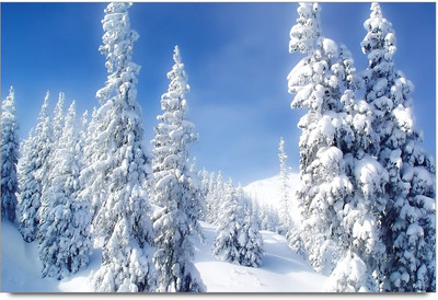 34% OFF on Ice Art Tree Paper Print