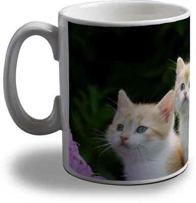 15% OFF on Artifa Cute Cats Looking Porcelain, Ceramic Mug 350 ml 15% OFF on Artifa Cute Cats Looking Porcelain, Ceramic Mug 350 ml