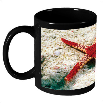 70% OFF on AMY 3D Red Starfish in The Sea Coffee Ceramic Mug 325 ml 70% OFF on AMY 3D Red Starfish in The Sea Coffee Ceramic Mug 325 ml